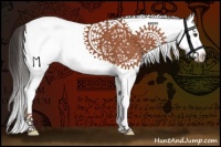 Horse Color:White Spotted Bay Splash 