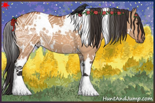 Horse Color:White Spotted Bay Dun