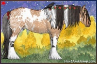 Horse Color:White Spotted Bay Dun