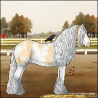 Horse Color:White Spotted Palomino Dun Splash 