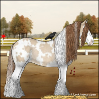 Horse Color:White Spotted Red Dun Splash Rabicano