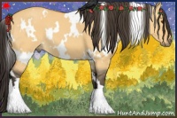 Horse Color:White Spotted Buckskin Dun 