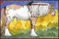 Horse Color:White Spotted Red Roan Frame Rabicano