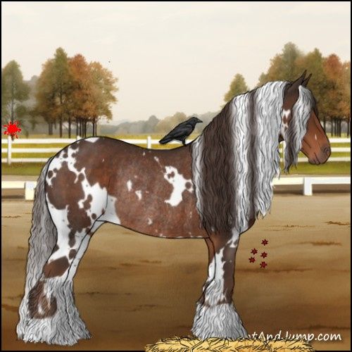 Horse Color:White Spotted Liver Chestnut Rabicano 