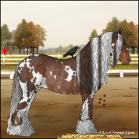 Horse Color:White Spotted Liver Chestnut Rabicano