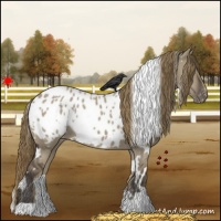 Horse Color:White Spotted Smoky Grullo Blanket 