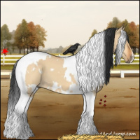 Horse Color:White Spotted Bay Dun Tobiano