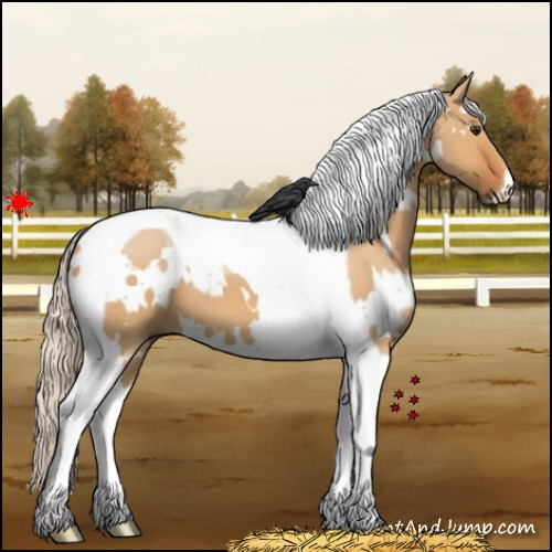 Horse Color:White Spotted Silver Bay Dun Tobiano 