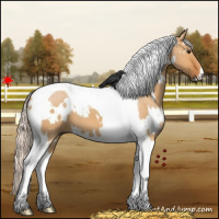 Horse Color:White Spotted Silver Bay Dun Tobiano 