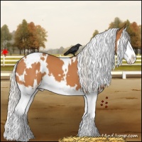 Horse Color:White Spotted Silver Bay Splash 