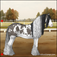 Horse Color:White Spotted Grullo Splash