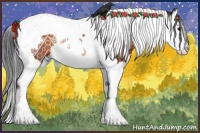 Horse Color:White Spotted Bay Splash Tobiano Rabicano