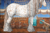Horse Color:Gold Champagne Appaloosa  and Gold Champagne Appaloosa 