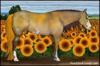 Horse Color:Chocolate Buckskin Dun Sabino