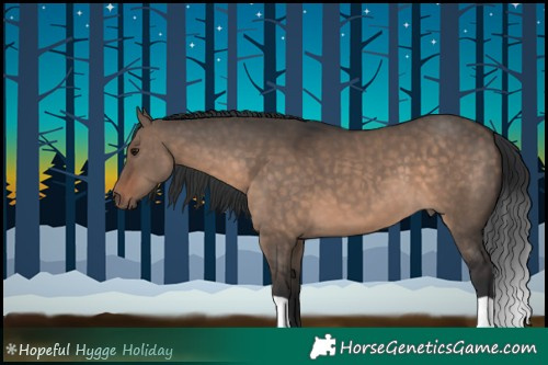 Horse Color:Brown Dun 