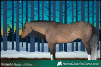 Horse Color:Brown Dun 