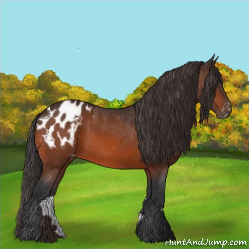 Horse Color:Bay Blanket