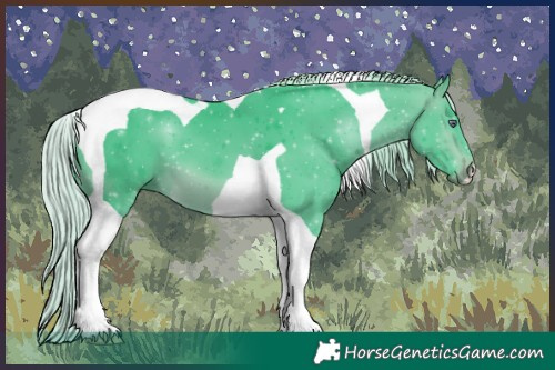 Horse Color:Watercolor Silver Brown Chinchilla Tobiano 