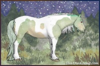 Horse Color:Watercolor Silver Brown Chinchilla Tobiano 