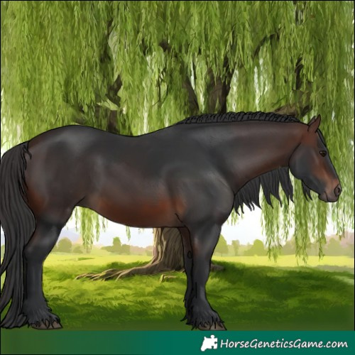 Horse Color:Brown 
