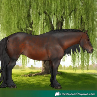 Horse Color:Brown 