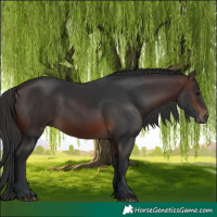 Horse Color:Brown 