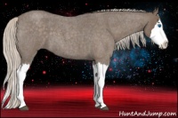 Horse Color:Silver Blue Roan Splash 