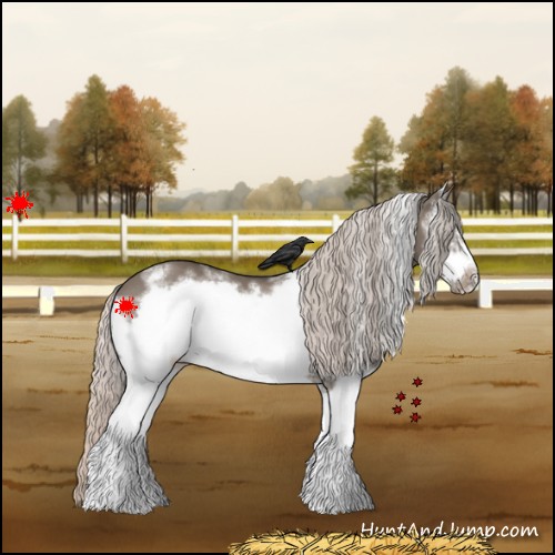 Horse Color:White Spotted Silver Grullo Frame Appaloosa 
