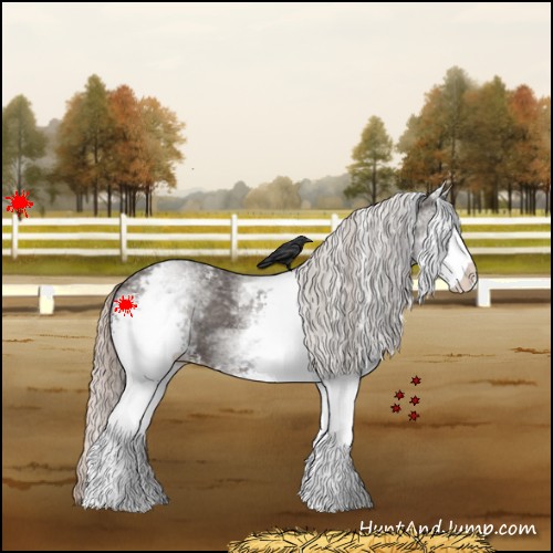 Horse Color:White Spotted Silver Black 