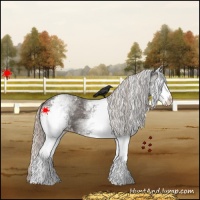 Horse Color:White Spotted Silver Black 