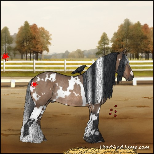 Horse Color:White Spotted Brown Dun Rabicano 