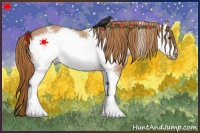 Horse Color:White Spotted Red Roan Frame