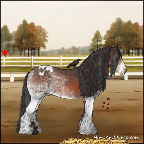 Horse Color:White Spotted Brown Varnish
