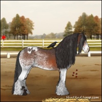 Horse Color:White Spotted Brown Varnish 