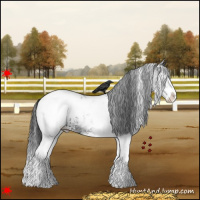 Horse Color:White Spotted Black Splash Snowcap 