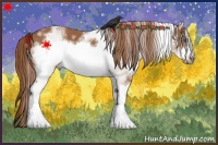Horse Color:White Spotted Chestnut Frame 
