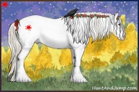 Horse Color:White Spotted Palomino 