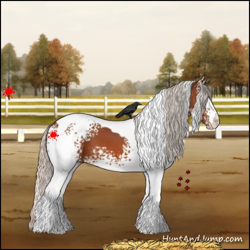 Horse Color:White Spotted Silver Bay Tobiano 