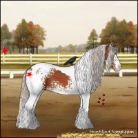 Horse Color:White Spotted Silver Bay Tobiano