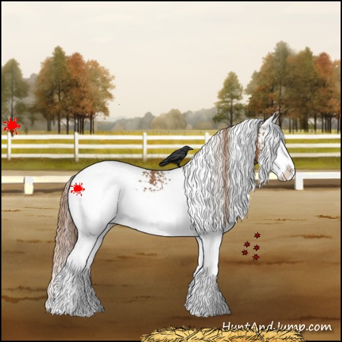 Horse Color:White Spotted Chestnut Splash Blanket 