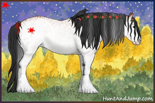 Horse Color:White Spotted Bay 