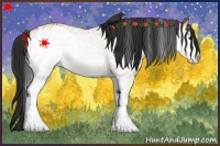 Horse Color:White Spotted Bay 