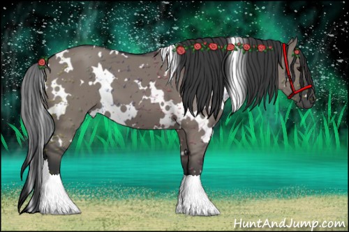 Horse Color:White Spotted Grullo