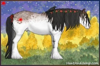 Horse Color:White Spotted Bay 