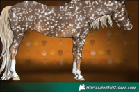 Horse Color:Chocolate Palomino Snowflake Varnish 