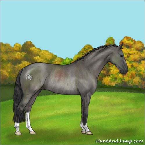 Horse Color:Grullo Rabicano 