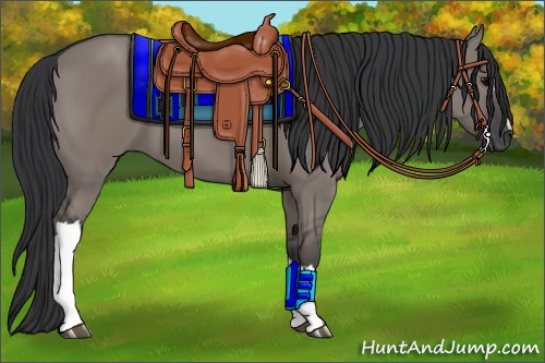 Horse Color:Grullo 