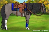 Horse Color:Grullo