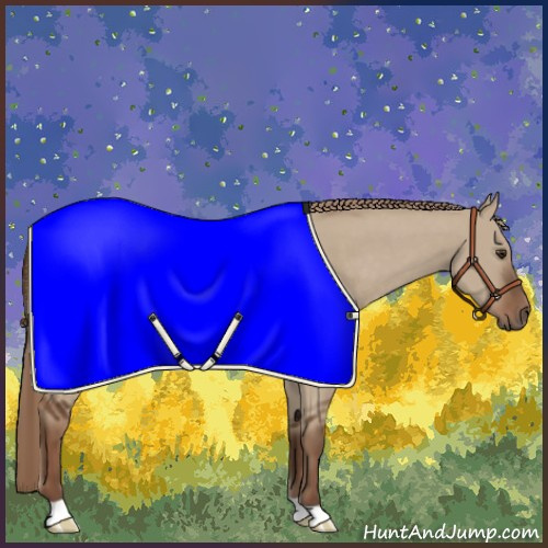 Horse Color:Liver Red Dun 