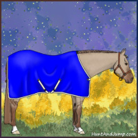 Horse Color:Liver Red Dun 